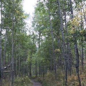 Meet your Posher, Devon